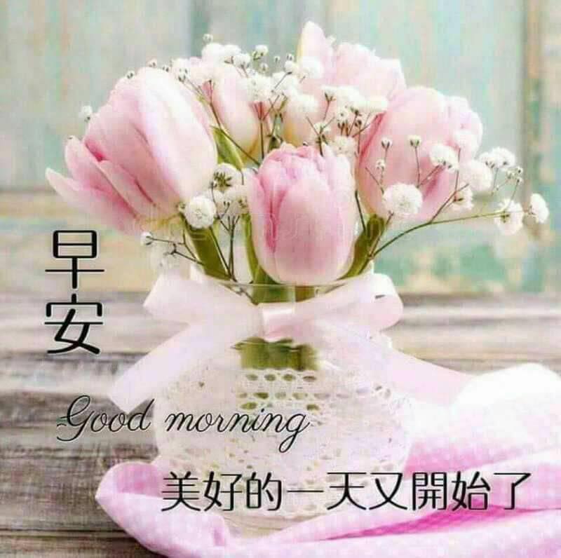 早安圖下載